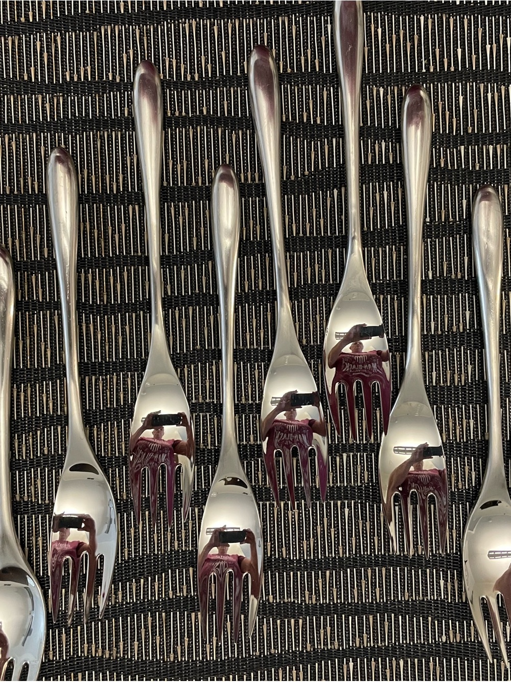 Rosenthal Taille Flatware